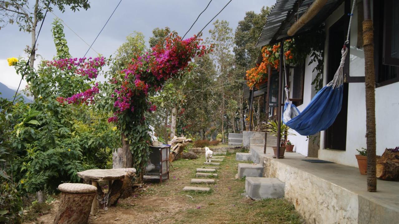 Peace Guest House Pokhara Habitación foto